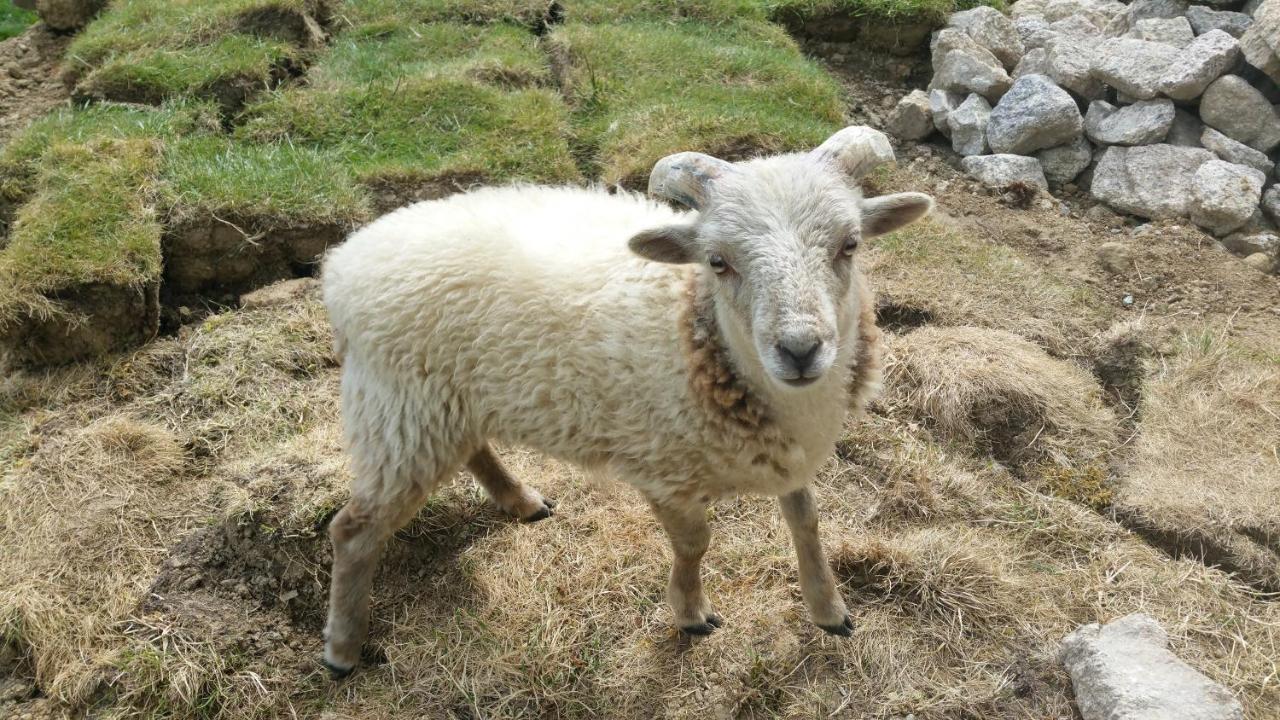Willa Le Logis Du Prieure Les Châtelliers-Châteaumur Zewnętrze zdjęcie